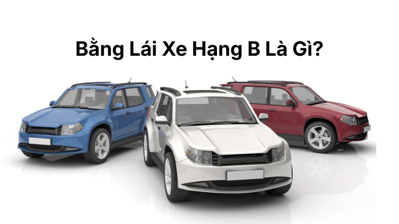 Bằng Lái Xe Hạng B Là Gì?