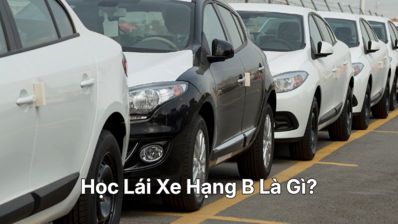 Học Lái Xe Hạng B TPHCM Là Gì?